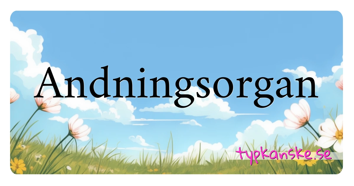 Andningsorgan synonymer korsord betyder förklaring och användning