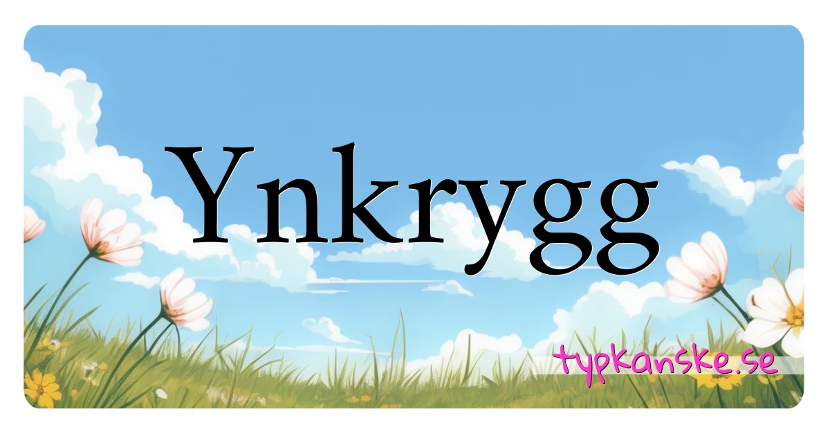 Ynkrygg synonymer korsord betyder förklaring och användning