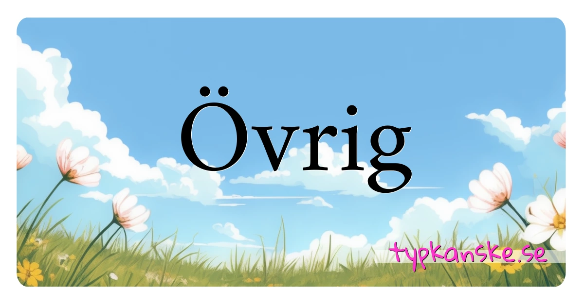 Övrig synonymer korsord betyder förklaring och användning