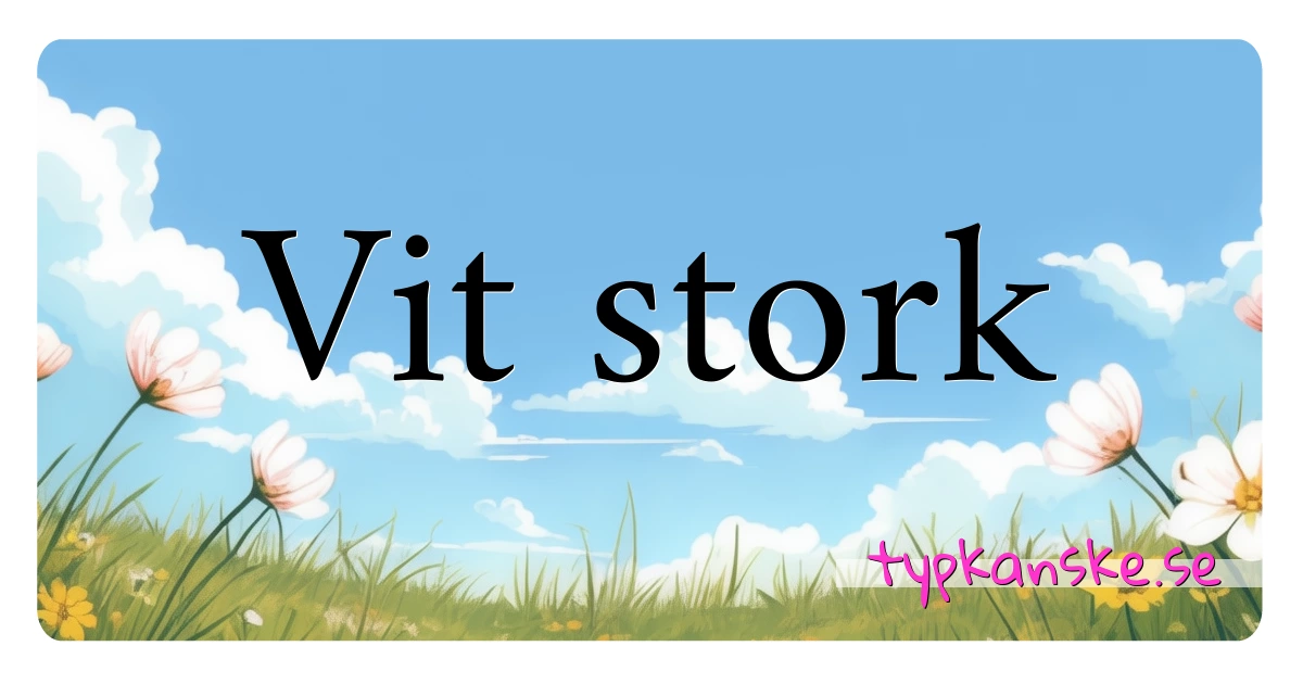 Vit stork synonymer korsord betyder förklaring och användning