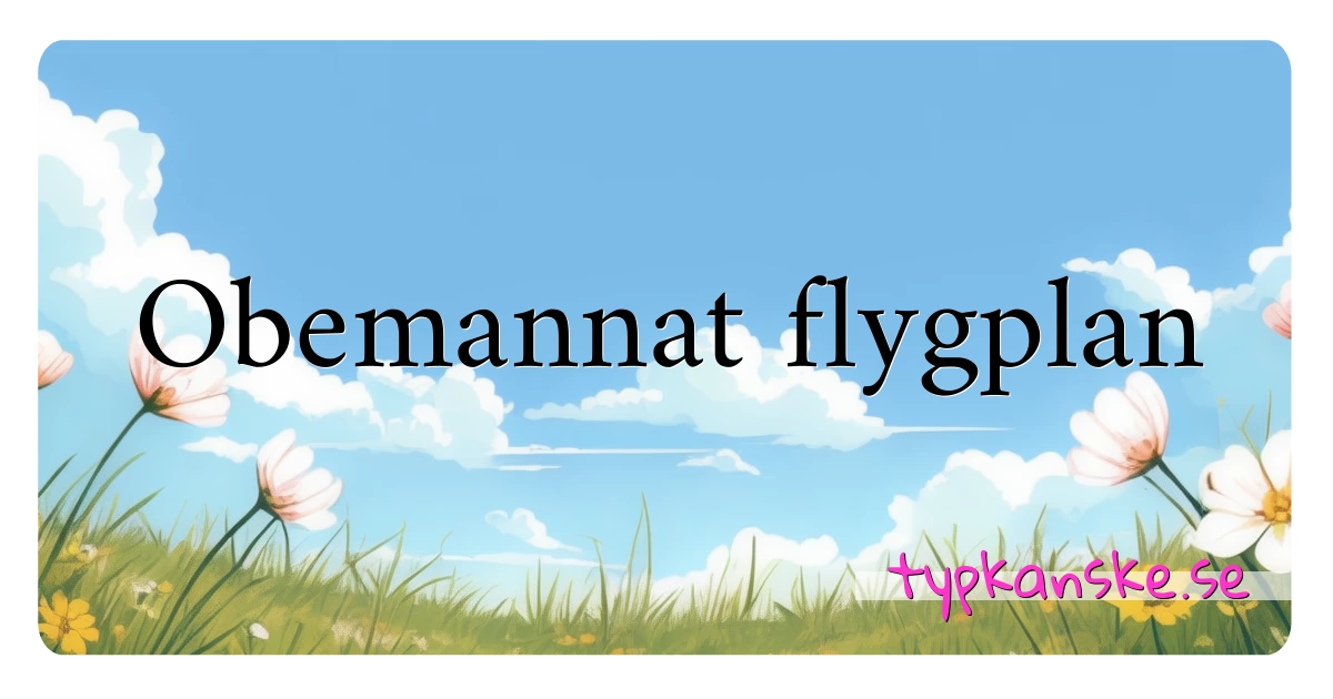 Obemannat flygplan synonymer korsord betyder förklaring och användning