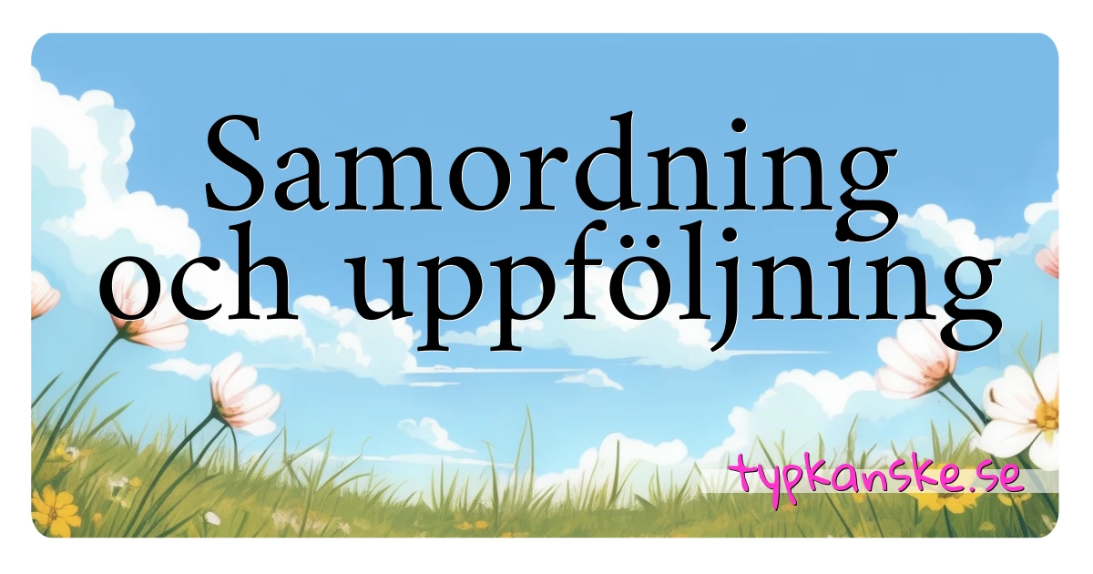 Samordning och uppföljning synonymer korsord betyder förklaring och användning