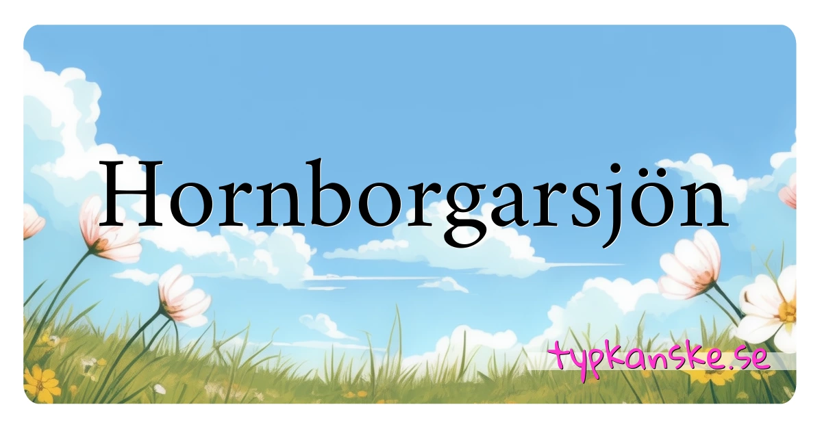 Hornborgarsjön synonymer korsord betyder förklaring och användning