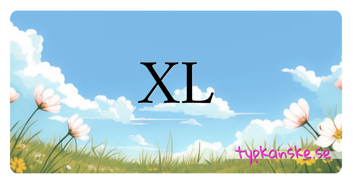 XL synonymer korsord betyder förklaring och användning
