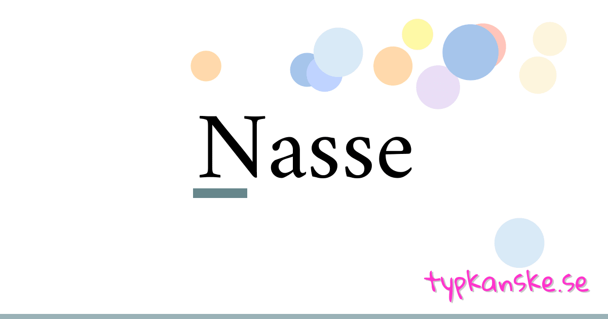 Nasse synonymer korsord betyder förklaring och användning
