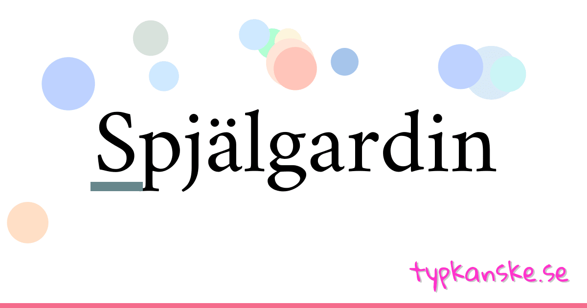 Spjälgardin synonymer korsord betyder förklaring och användning